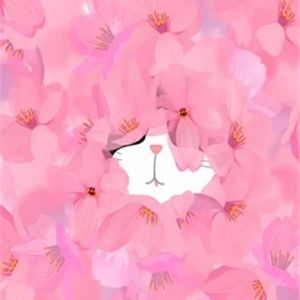 Meet your Posher, Derp-cat